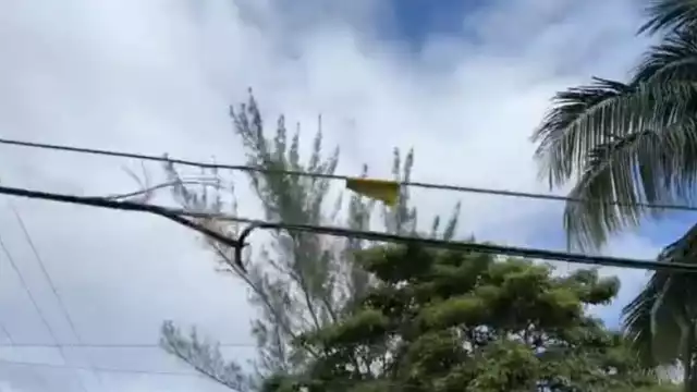 Cableado afectó la vida de los habitantes de Chetumal.