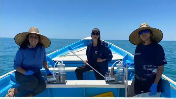 Una práctica de varias toneladas de pescado capturado bajo esta técnica