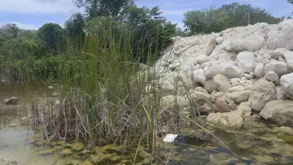 Hace tres años el agua era cristalina y la gente nadaba, relataron algunas familias asentadas en los alrededores del cuerpo de agua, en la colonia irregular San Valentín Hace tres años el agua era cristalina y la gente nadaba, relataron algunas familias asentadas en los alrededores del cuerpo de agua, en la colonia irregular San Valentín