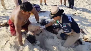 Guardavidas salvan a turista arrastrado por corriente en playa de San Martín