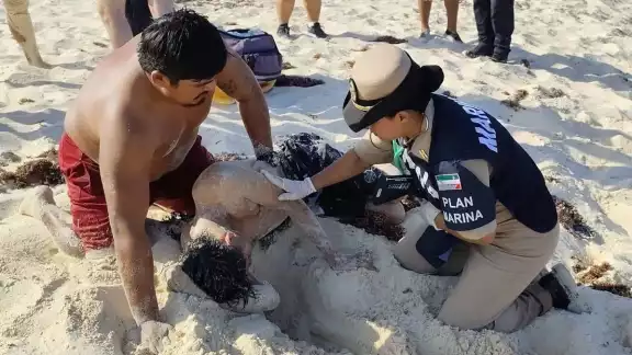 La acción inmediata de las autoridades logró poner a salvo al turista. La acción inmediata de las autoridades logró poner a salvo al turista.