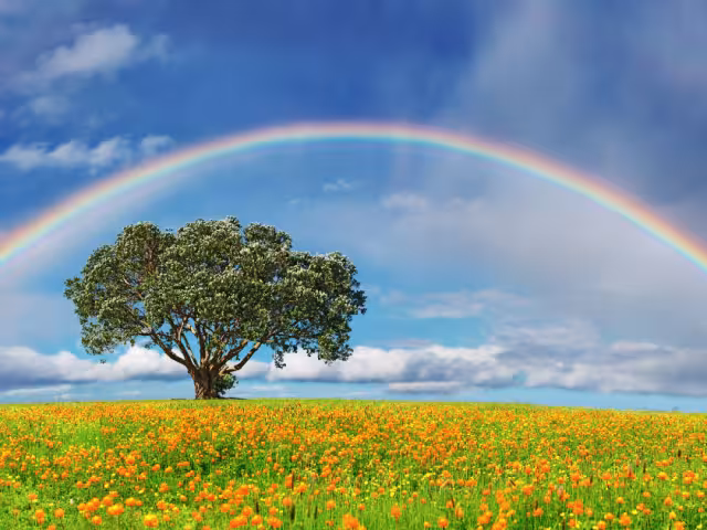 Te contamos todo sobre este fenómeno que no deja de sorprender