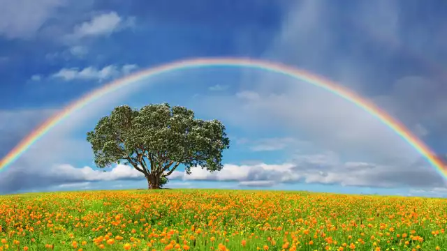 Te contamos todo sobre este fenómeno que no deja de sorprender