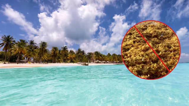 Debido a su ubicación geográfica el sargazo no es común en esta playa