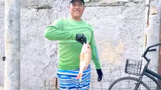 Pescadores denuncian pesca y venta ilegal de caracol rosa en Playa del Carmen