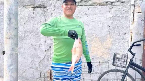De septiembre a noviembre, los pescadores de la región extrajeron un promedio de 250 toneladas de productos de escama
