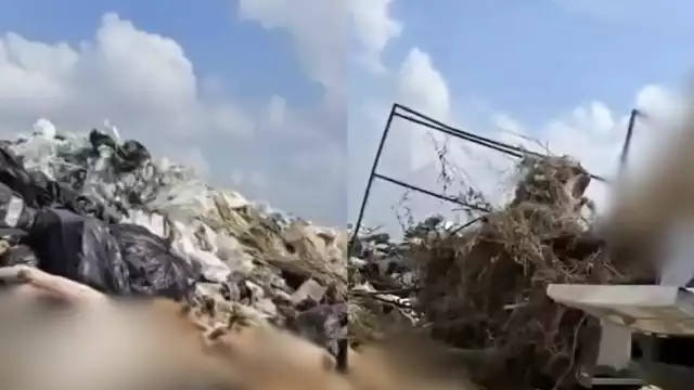 Difunden video de supuestos trabajadores de Bienestar Animal arrojando perros en un relleno sanitario; causa indignación y reacciones