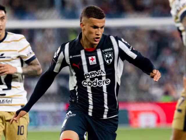 Los felinos están fuera de la Liguilla