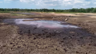 Denuncian a Crío por arrojar excremento de aves cerca de las ruinas mayas de Tzemé