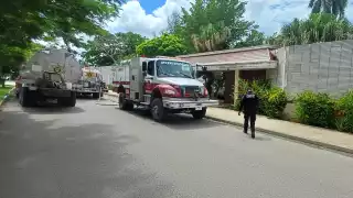 Ninguno de los canes resultó herido