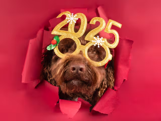 Manda una imagen a sus seres queridos para recibir el 2025