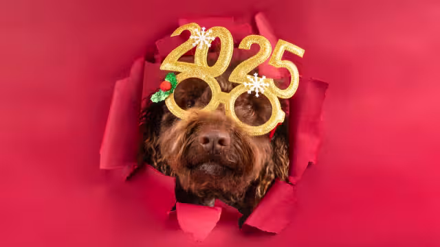 Manda una imagen a sus seres queridos para recibir el 2025