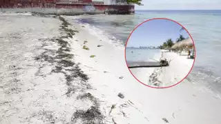 Recolectan 1 kilo de heces de “tortugas" en Playa del Niño en Cancún