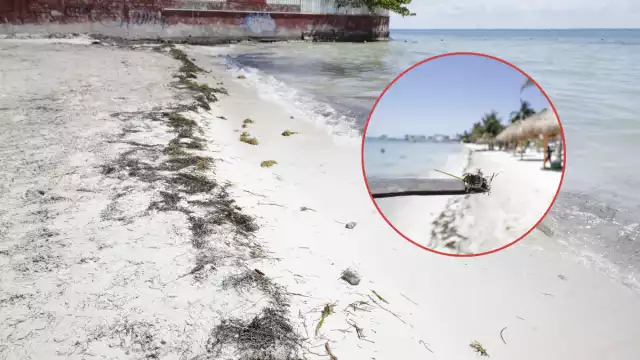 Según un muestreo realizado, todos los balnearios lograron una calificación “A” en cuanto a calidad del agua; cumplen con los estándares requeridos