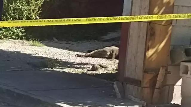 El caso generó indignación