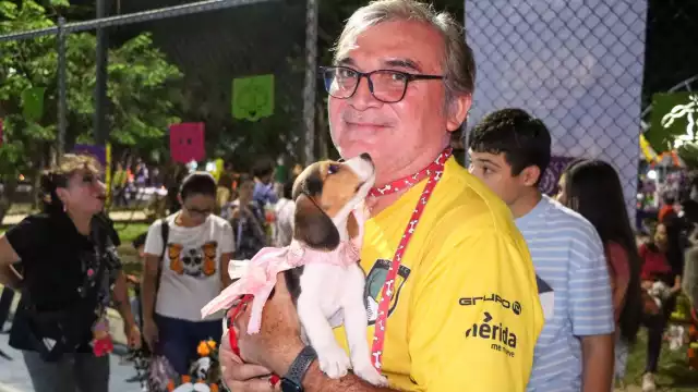 Como parte del programa, el 12 de noviembre se realizará una plática de capacitación para vecinos del fraccionamiento