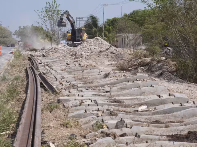 Tren Ligero iniciaría función en septiembre este año