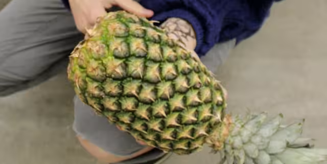 Así puedes ligar en el súper utilizando una piña, nueva tendencia en redes