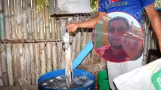 Campeche supera las 4 mil 800 toneladas de pulpo maya; alertan sobre sobreexplotación en Isla Arena