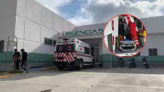 Abejas atacan a adulto mayor en Champotón; fue hospitalizado de emergencia