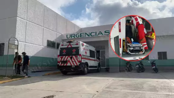 Un adulto mayor de 79 años fue atacado por un enjambre de abejas en la colonia La Cruz, en Champotón.