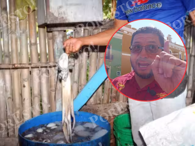 Campeche registra 4 mil 881 toneladas de pulpo maya capturadas en la temporada actual.