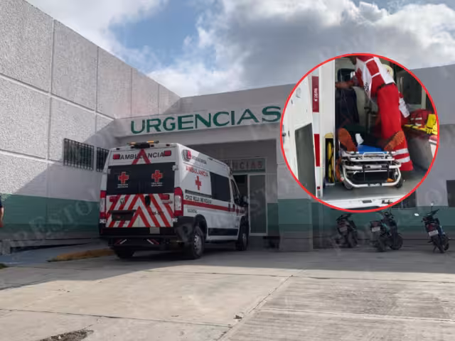 Un adulto mayor de 79 años fue atacado por un enjambre de abejas en la colonia La Cruz, en Champotón.