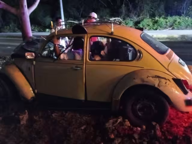 Conductor pierde el control y se impacta contra un árbol en Real Ibiza, Quintana Roo