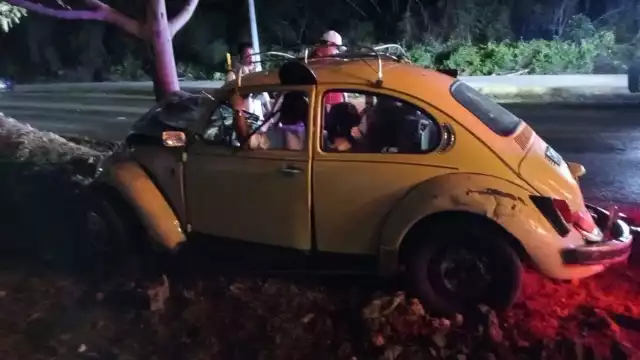 Conductor pierde el control y se impacta contra un árbol en Real Ibiza, Quintana Roo