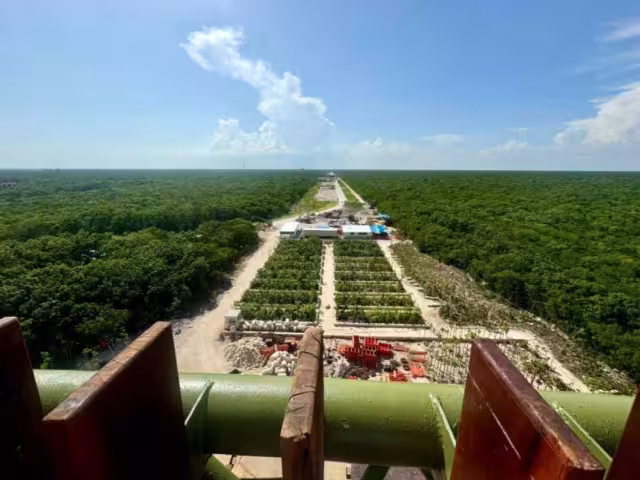 Visitantes de Tulum serán los únicos permitidos en ingresar gratis al Parque del Jaguar
