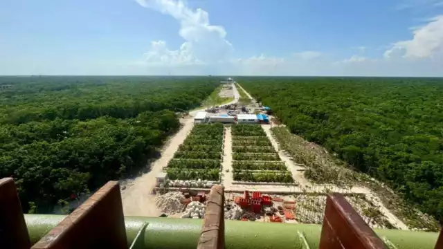 Visitantes de Tulum serán los únicos permitidos en ingresar gratis al Parque del Jaguar