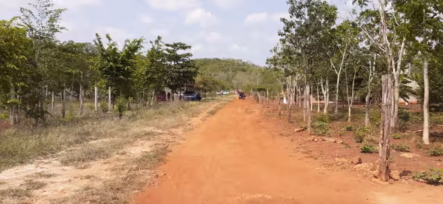El joven fue puesto en libertad momentos después de ser abordado a la camioneta