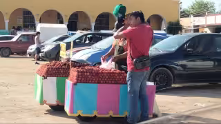 Rambután, fruta asiática con alto valor nutricional llega al mercado