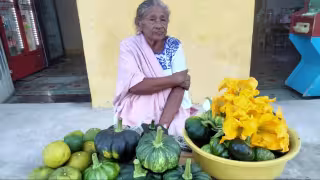 Cambio social y laboral acelera la pérdida del maya en comunidades de Yucatán