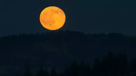 La Luna de fresa es la pauta para el verano La Luna de fresa es la pauta para el verano