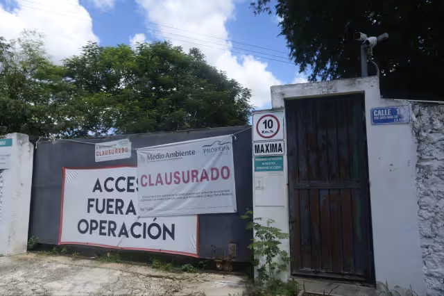 En Santa María Chi afirman que los cerdos de la granja recién clausurada no han sido reubicados