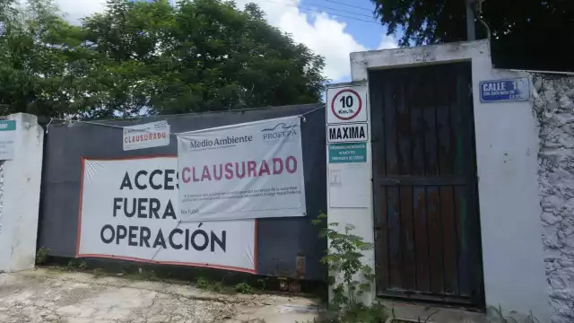 En Santa María Chi afirman que los cerdos de la granja recién clausurada no han sido reubicados