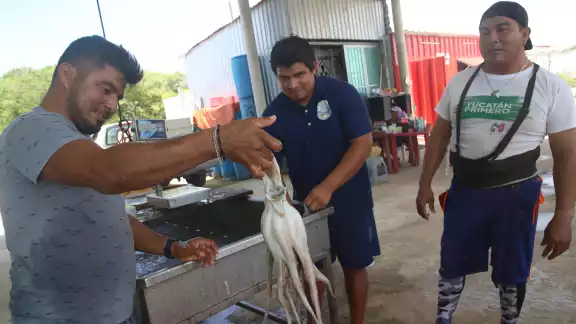 Con más de 20 mil ton logradas, los pescadores se acercan a la meta de 28 mil prevista este año