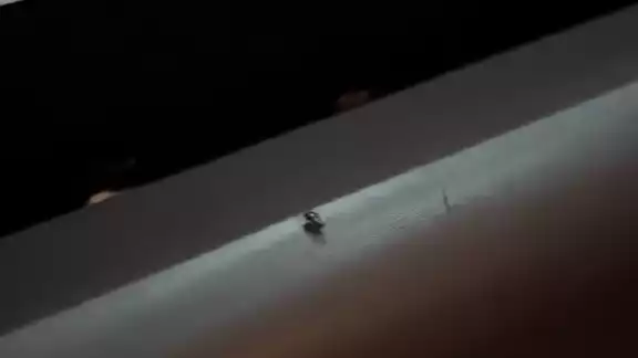 Video de TikTok muestra una desagradable experiencia por un usuario de autobús de primera clase. Video de TikTok muestra una desagradable experiencia por un usuario de autobús de primera clase.