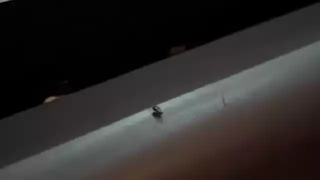 Video de TikTok muestra una desagradable experiencia por un usuario de autobús de primera clase.