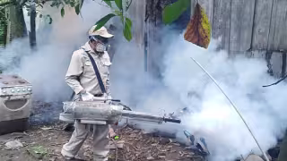Pobladores de Nuevo Jerusalén, Champotón exigen fumigación ante proliferación del mosco 
