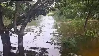 El desbordamiento de las lagunas del ejido Zoh Laguna por la tormenta "Nadine" inundó varias colonias