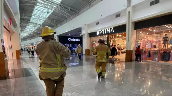 Un panal de abejas africanizadas fue retirado de una sala de cine en Plaza Las Américas Chetumal. Un panal de abejas africanizadas fue retirado de una sala de cine en Plaza Las Américas Chetumal.