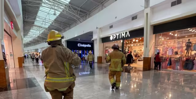 Un panal de abejas africanizadas fue retirado de una sala de cine en Plaza Las Américas Chetumal.
