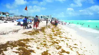 Quintana Roo reportó 17 playas con exceso de sargazo durante marzo