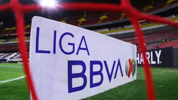 Las redes se agitaron en todos los estados en la fecha 7 Las redes se agitaron en todos los estados en la fecha 7