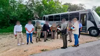 Fiscalía frena ecocidio en Sisal; detecta nuevo desmonte ilegal de vegetación en duna costera