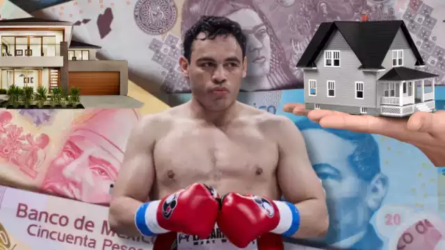 Los negocios fuera del ring del Jr.