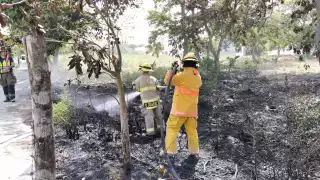Colilla de cigarro provoca incendio en terreno de avenida Insurgentes en Carmen   