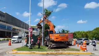 Tren Ligero de Campeche: Retiran palmeras del camellón en el malecón 